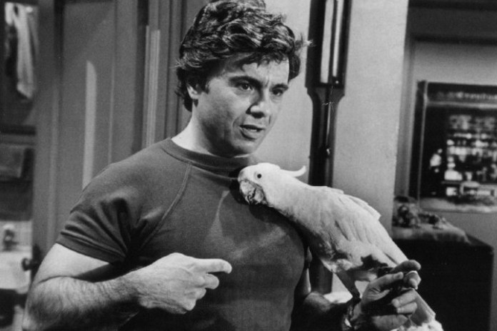 Blake tuvo un recorrido artístico previo a Baretta, pero fue este detective del blanco y negro quien le dio la fama que tanto buscaba.